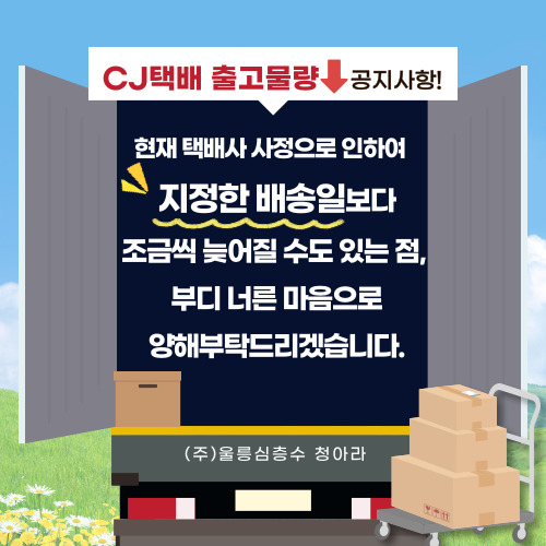CJ택배 출고 제한으로 배송지연 안내